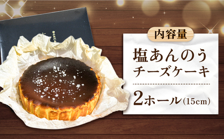 【ヒルナンデスで紹介されました！】五島列島 チーズケーキ 塩あんのう 2個 ケーキ 塩 しお ソルト いも 芋 スイーツ お菓子 菓子【虎屋】[RBA004]