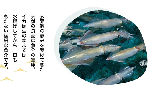呼子萬坊いかげそしゅうまい6粒×3袋セット＜GS-3＞ 呼子名物いかしゅうまい姉妹品 惣菜 ギフト用 贈り物用「2024年 令和6年」