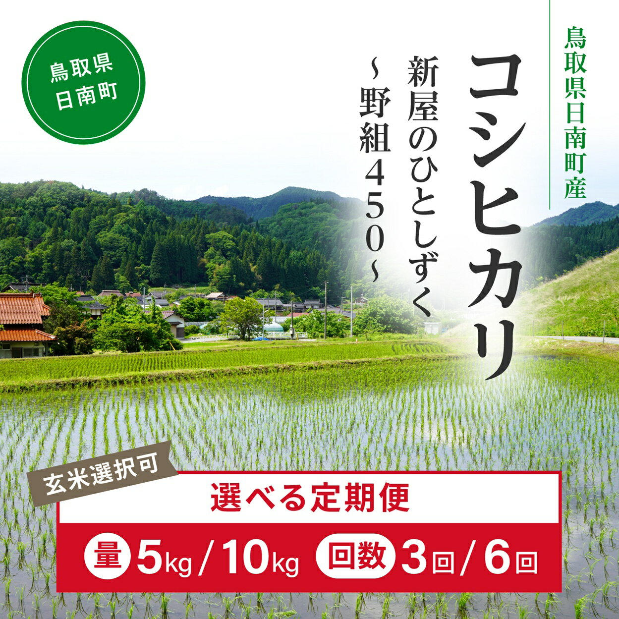 【ふるさと納税】【白米・玄米選択可】令和7年産 新米 先行予約 鳥取県日南町産コシヒカリ 定期便 5kg 10kg 3か月 6か月 新屋のひとしずく ～野組450～ 米 お米 おこめ 精米 こしひかり