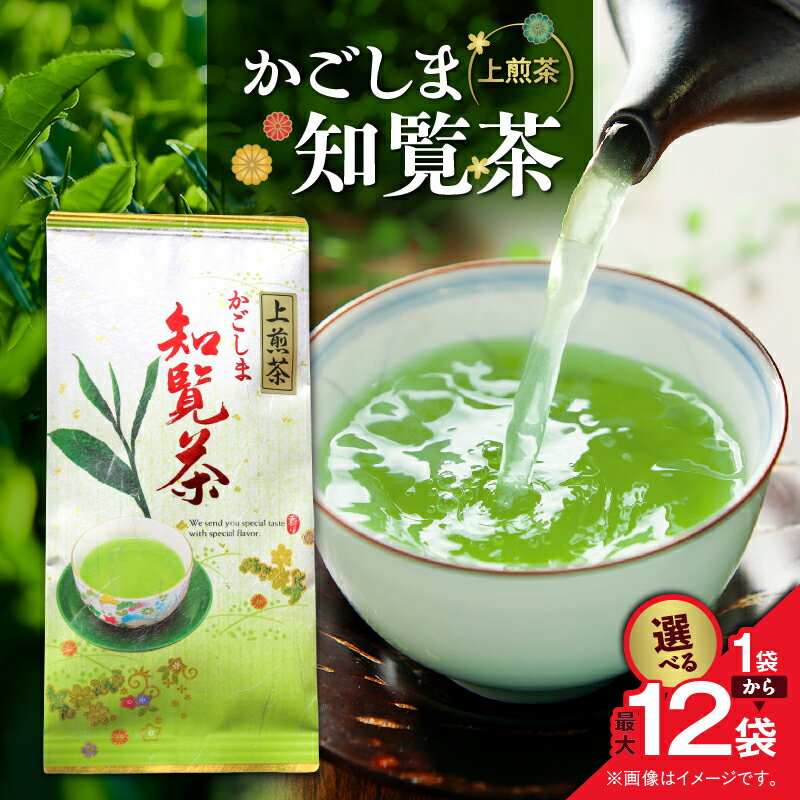 【ふるさと納税】＜選べる＞ かごしま 知覧茶 100g × 1袋 ～ 12袋 お茶 茶 鹿児島茶 緑茶 深蒸し 甘い まろやか 全国茶審査技術大会 日本茶 美味しい リラックス 上煎茶 渋味 厳選茶 茶葉 リーフ みのる園茶舗 鹿児島 鹿児島市 おすすめ ランキング プレゼント ギフト