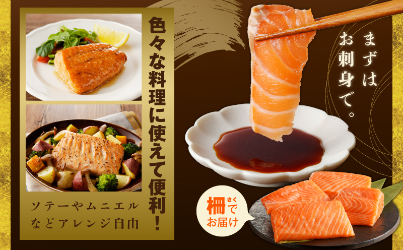 泉佐野セレクト 海鮮定期便 全4回 サーモン 天然まぐろ かつお 真鯛【毎月配送コース】 099Z161_イメージ3