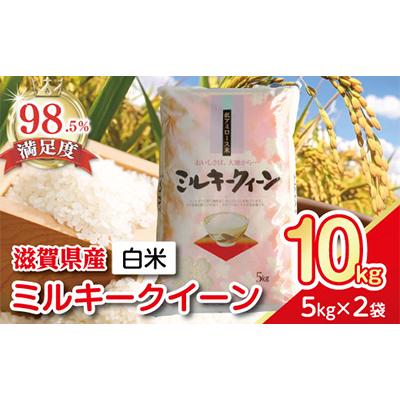 ふるさと納税 近江八幡市 【令和7年産】近江米ミルキークイーン　精米　5kg×2袋