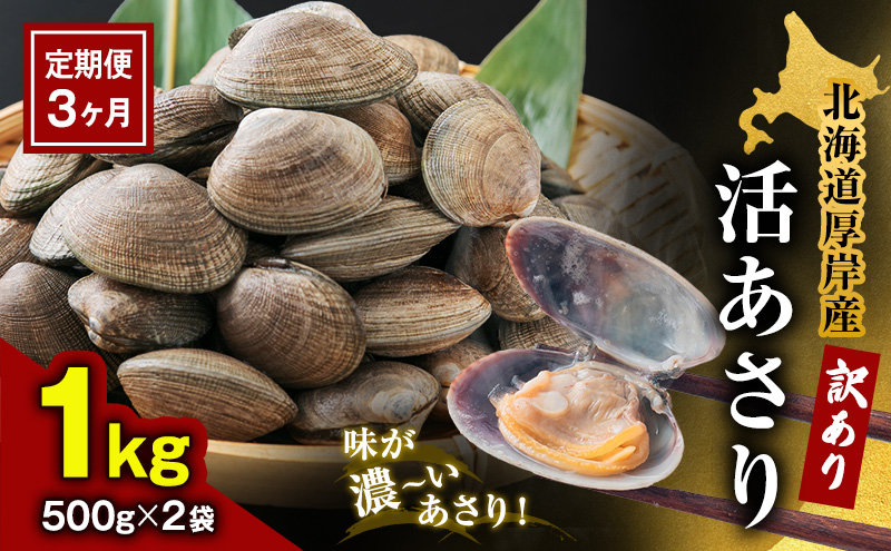 【3カ月 定期便 】訳あり 北海道 厚岸産 砂出し済み 活あさり 500g×2 (合計1kg) 【厚岸海産】[ アサリ 魚貝 海鮮 大粒 美味しい 栄養 旨み 砂出し 水洗い 冷蔵 便利 ]