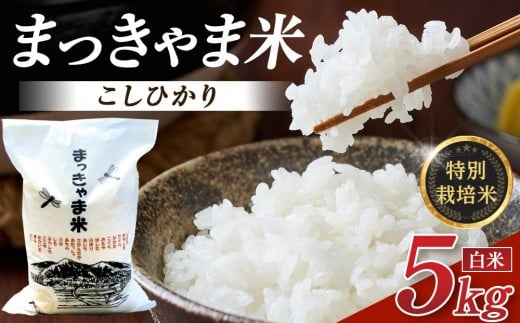 米 令和7年産 【 特別栽培米 】 石川県産 こしひかり 棚田米 白米 5kg　金沢市 お米 こめ 白米 食品 米 コシヒカリ ふるさと納税 米通販 高級米 国産米 ブランド米 日本米 新米 精米 産地直送 米ギフト 米料理 用途別米 米食文化 米農家 特別栽培米 米品種 米品質 米栽培技術 食感良好米