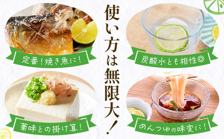 ＜2026年予約受付＞ 徳島県産 訳あり【B級】すだち 1kg《9月上旬〜9月末発送予定》佐那河内村