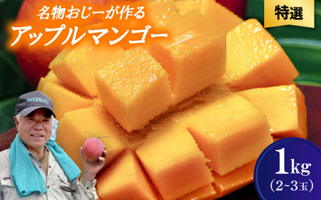 【2026年7月から順次発送・特選】名物おじーが作るアップルマンゴー1kg(2～3玉)【配送不可地域：離島】【1694691】