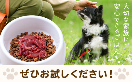 ペット用馬肉 2kg 五右衛門フーズ《30日以内に出荷予定(土日祝除く)》 ペット用 犬用 肉 馬肉 熊本県 菊池市
