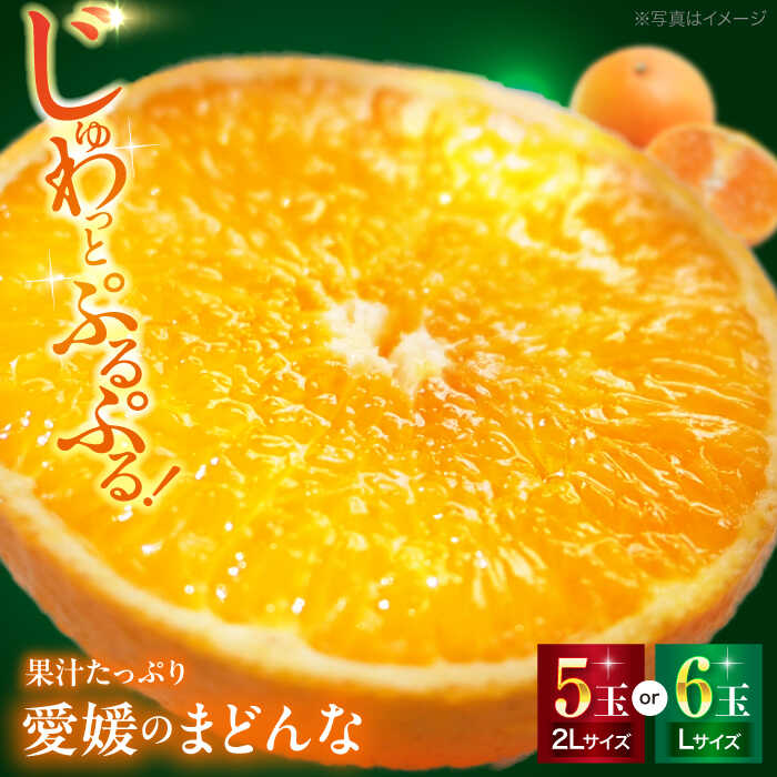【ふるさと納税】【先行予約】【11月下旬から順次発送】 まどんな L〜2Lサイズ 5〜6玉 入 | 人気 おすすめ ランキング おいしい 甘い 果物 フルーツ 大洲市/峯田農園[AGBT007] 10000 10000円 以下