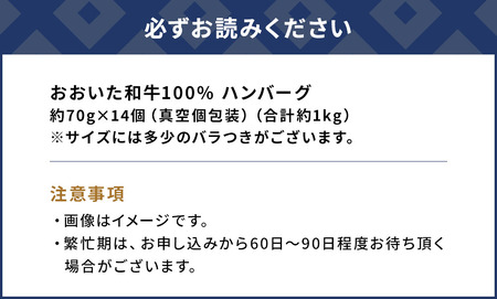 おおいた和牛100% ハンバーグ 約70g×14個 合計約1kg 牛肉 豊後牛 ハンバーグ おかず お弁当 小分け レンジ 時短料理 惣菜 冷凍 大分県産 九州産 津久見市 国産