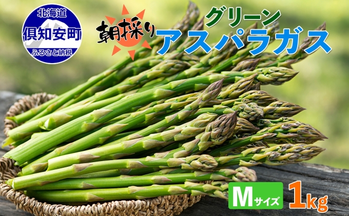 北海道 アスパラガス グリーン 1kg セット Mサイズ 春 限定 旬 朝採り 新鮮 野菜 アスパラ ギフト gift 産地直送 産直 お取り寄せ 詰め合わせ 送料無料  倶知安町