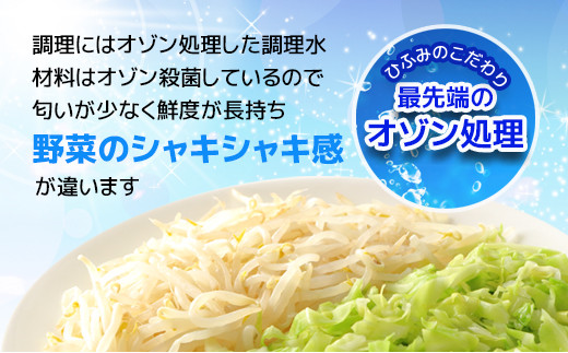 長崎伝統の味　ひふみの長崎ちゃんぽん4個セット【B3-040】 贈り物 お取り寄せ お土産 お中元 お歳暮 内祝 ギフト 大好評