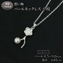 【ふるさと納税】 真珠 パール ネックレス ペンダント あこや真珠 ジュエリー 想い梅 小枝 Npearl シルバー アクセサリー アコヤ真珠 本真珠 パールネックレス ファッション 卒業式 入学式 お祝い 人気 ギフト 贈り物 プレゼント 特産品 国産 愛媛 宇和島 A135-166008