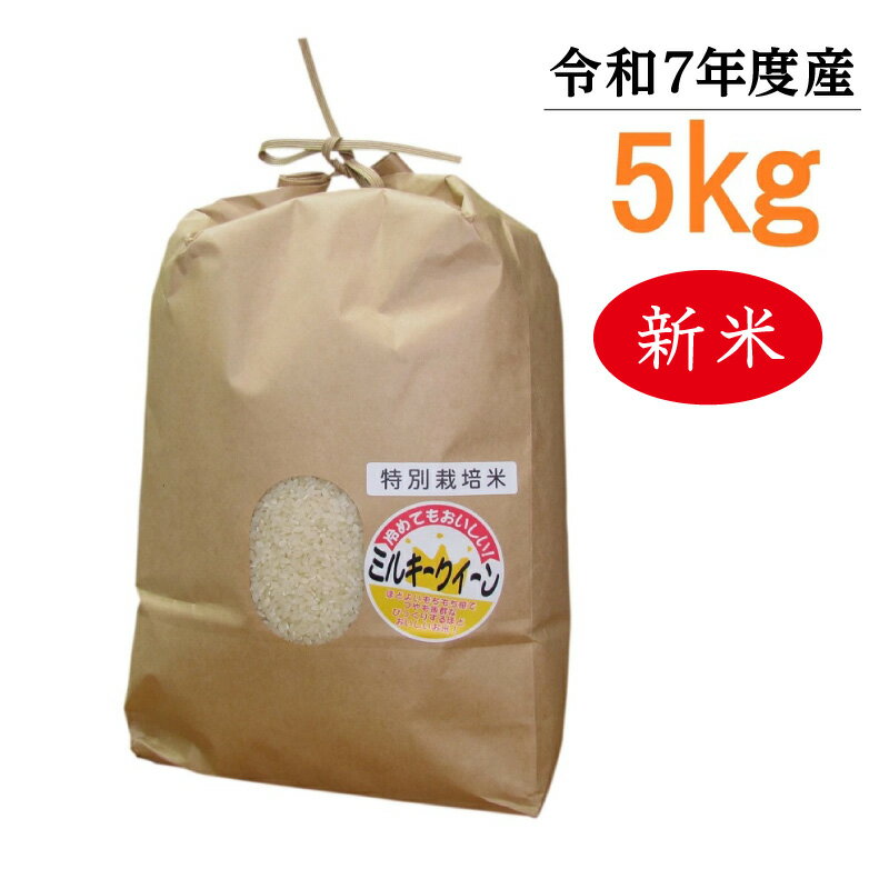 【ふるさと納税】【令和7年度産】東浦町のミルキークイーン【5kg】精米 米 おこめ 農家直送 新米 ブランド米 令和7年 鈴木農産 愛知県 東浦町 返礼品【9月中旬以降に順次出荷】送料無料 [AO001]
