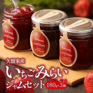 久留米産ブランドいちご　未来苺（みらいちご）ジャムセット_久留米産 未来苺 みらいちご ジャム 180g × 3個 セット あまおう いちご 甘い オリジナル 上質 果物 フルーツ 朝食 ヨーグルト パン トースト 瓶 国産 南国フルーツ株式会社 お取り寄せ グルメ 福岡県 久留米市 送料無料 〔Ca007〕
