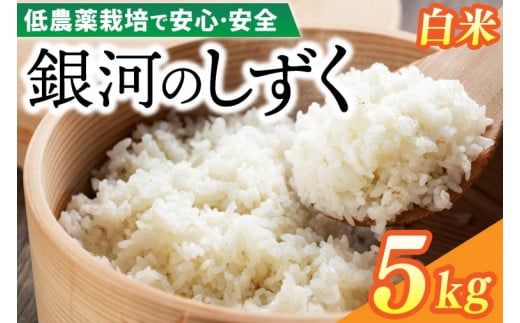 【新米 先行予約】令和6年産 銀河のしずく 5kg (精米) 低農薬栽培米 生産者直送 (EI002)