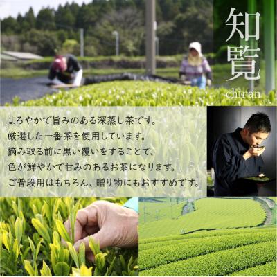 ふるさと納税 南九州市 知覧茶深むし茶「知覧みどり」100g×5本箱 |  | 01