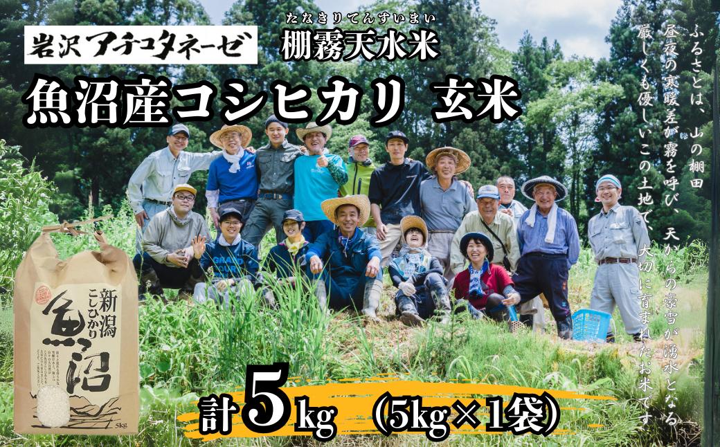 
                  【玄米 5kg】令和8年産 新米 先行予約 魚沼産コシヒカリ 玄米5kg 天水栽培 岩沢アチコタネーゼ | 魚沼産こしひかり 魚沼コシヒカリ 新潟県産コシヒカリ 新潟産コシヒカリ こしひかり 玄米 玄米食 お米 米 コメ 5キロ 産地直送 にいがた おぢや 新潟県 小千谷市 【0008-0001】
                