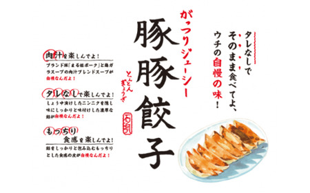 浜田生まれ浜田育ち がっつりジューシー「豚豚餃子」（5パック入り） 惣菜 餃子 ギョーザ 冷凍 簡単調理 焼くだけ おかず おつまみ 【1204】