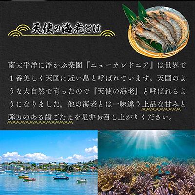 ふるさと納税 登別市 「えび」の灰干し食べ比べセット!「天使の海老」VS「赤えび」　各2P |  | 01