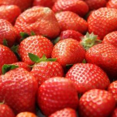 ふるさと納税 矢祭町 矢祭町産コシヒカリ(白米)10kg+特産品セットE |  | 01