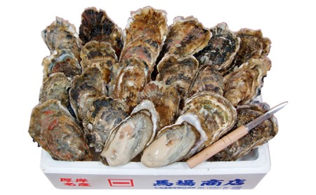 カキ 生食 厚岸産 殻かき L20個 【馬場商店】[ 北海道 牡蠣 かき ブランド牡蠣 生食用 生牡蠣 魚貝類 マルえもん ] 