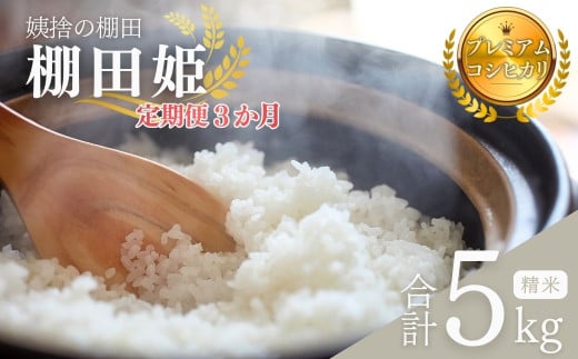 【令和7年産】定期 3ヶ月 姨捨の棚田 プレミアムコシヒカリ 「 棚田姫 」 5kg 定期便 3回 米 白米 精米 棚田米 長野県 千曲市 おばすて 信州