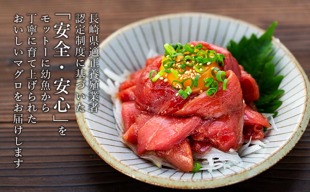 長崎県産　本マグロ中落ち（約600ｇ）