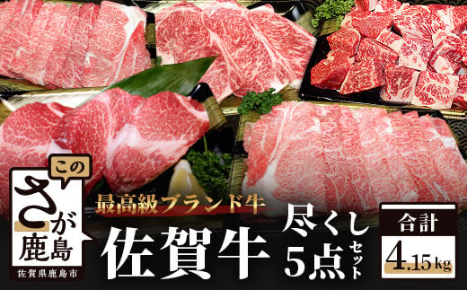 
【5種のお肉】佐賀牛バラエティセット 合計4.15kg ヒレステーキ サーロインステーキ すき焼き しゃぶしゃぶ サイコロステーキ V-9
