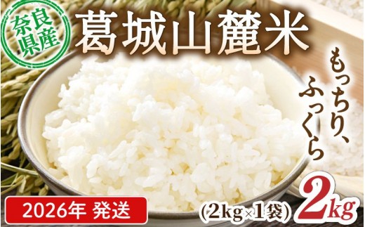 
                  先行予約 葛城山麓米 ヒノヒカリ（白米）計2kg [ 2kg×1袋 ] 令和8年産 【2026年10月下旬～順次発送】／ 奈良 葛城 山麓米 産地直送 米 お米 新米 こめ 国産 甘い 美味い おにぎり ご飯 おかず 減農薬 特別 安心 安全 ギフト ふるさと納税 人気 ランキング 常備米 精米 白米 2kg 5kg 10kg 20kg 定期便【smlk011A】
                