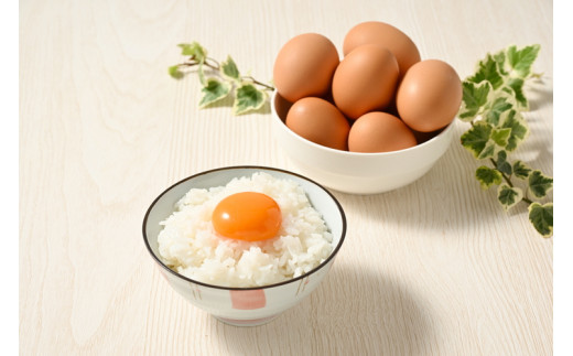 【11ヶ月定期便】料理人も「うまい！」と絶賛 昔の味たまご 20個入り（18個＋割れ補償2個）×11か月| 卵 鶏卵 玉子 たまご 生卵 国産 濃厚 コク 卵かけご飯 旨味 旨み※着日指定不可