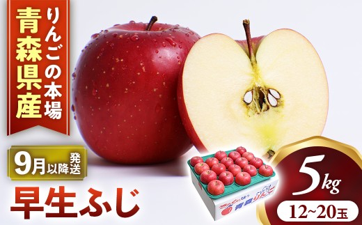 【2026年産・先行予約】りんご【早生ふじ】約5kg（12～20玉）★2026年9月下旬～10月下旬頃まで発送予定★ りんご 林檎 リンゴ 国産 早生 ふじ フルーツ 果物 贈答 土産  青森県 三戸町 AK-22-044