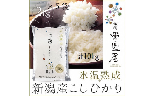 【令和7年産】阿賀野産 コシヒカリ 「雪室米」10kg（雪室氷温熟成） 新潟県 阿賀野市 米 こめ コメ 白米 精米 1J10070