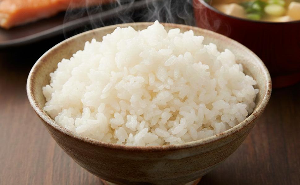 コシヒカリ 10kg こしひかり 精米 (5kg×2袋) 令和7年度産 お米 白米 | 石川県 小松市 JA小松市