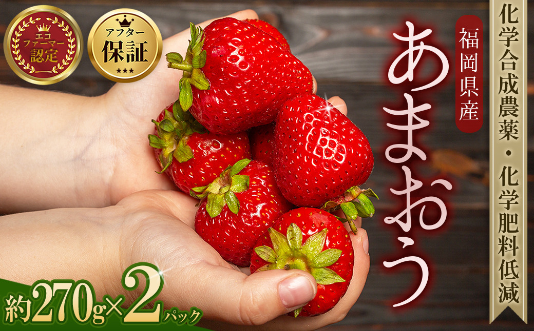 
                  【先行予約／2027年出荷】農家直送！特別栽培 あまおう 約270g × 2パック ふるさと納税 いちご イチゴ 苺 東峰村 果物 くだもの フルーツ ジャム にも ケーキ にも 先行予約 数量限定 ふるさと ランキング 人気 おすすめ 福岡 3S14 
                