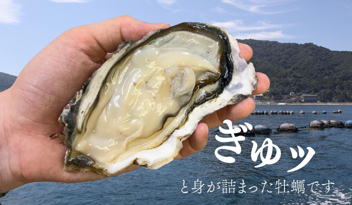 殻付き牡蠣 生食可 10kg かき 牡蠣 カキ オイスター 生食用牡蠣 生牡蠣 冷凍牡蠣 冷凍カキ 冷凍かき 殻付牡蠣 殻付きカキ 殻付きかき 殻付き 牡蠣貝 海産物 海鮮 水産物 焼き牡蠣 蒸し牡蠣