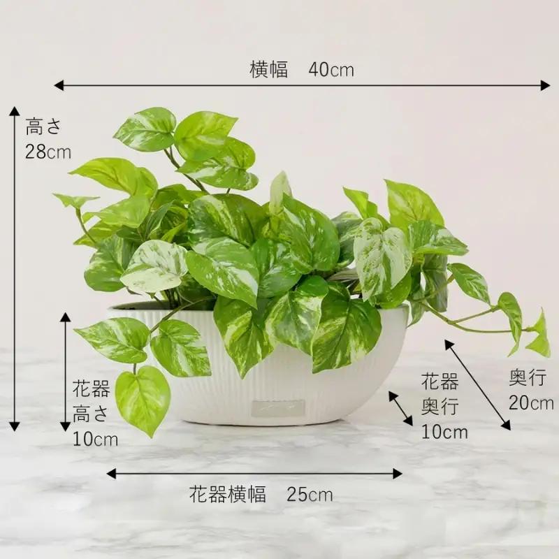 エミリオ・ロバ ポトス アーティフィシャルグリーン Lサイズ 造花 観葉植物 水やり不要 インテリア