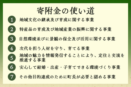 【返礼品なしの寄附】徳島県那賀町 1口：100,000円 ［徳島県 徳島 那賀町 那賀 寄附 おうえん 応援 しえん 支援 応援したい おうえん寄付金 応援寄付金 寄付のみ 返礼品なし 返礼品なしの寄