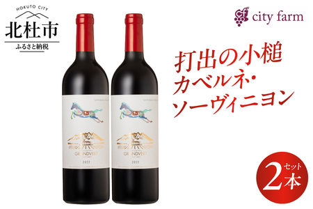 打出の小槌 カベルネ・ソーヴィニヨン 2022　2本　ワイン 赤ワイン カベルネ・ソーヴィニヨン 2022 750ml 2本 数量限定 赤 国産ワイン 山梨県産 白州産 北杜市産 完熟  黒系果実 オーク樽 樽香 タンニン 酸味 料理に合う 記念日 贈り物 プレゼント