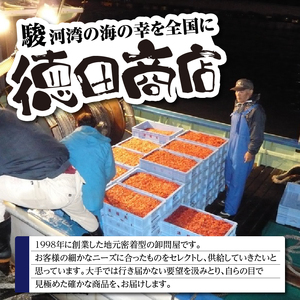 『焼津ダイカツ食品』海の幸佃煮6点セット (a10-1198)
