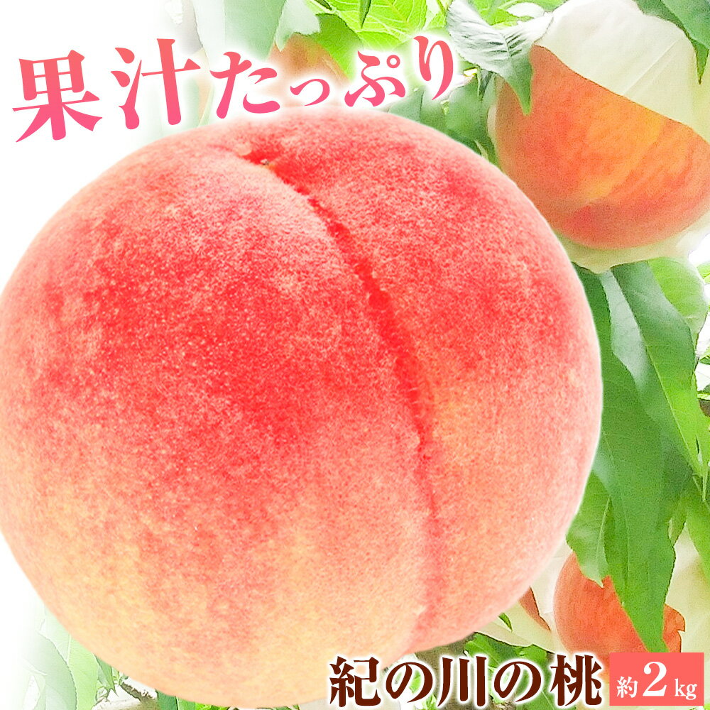 【先行予約】【ふるさと納税】紀州紀の川の桃 約 2kg かつらぎフルーツ王国振興公社《2026年6月下旬-8月中旬頃出荷》和歌山県 紀の川市 桃 もも モモ 果物 フルーツ