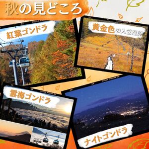 富士見パノラマリゾート ゴンドラ往復券 大人チケット 1枚 日本百名山 八ヶ岳・南アルプス一望 景観絶景 クーポン券 サービス券 ゴンドラ チケット 信州 着日指定不可 長野県富士見町
