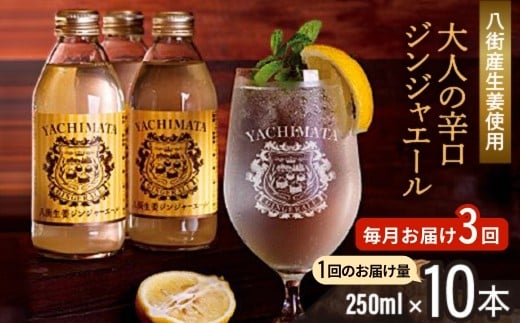 
            【毎月お届け3回】 八街生姜ジンジャーエール （ 250ml × 10本 × 3回 ） ジンジャーエール 生姜 八街 定期便 ジュース ジンジャー 瓶 ビン セット
          