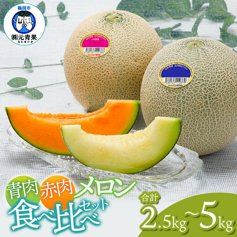【ふるさと納税】【令和7年産先行予約】青肉メロン・赤肉メロン 食べ比べ 容量お選びください［約2.5kg（計2玉）〜約5kg（計4玉）］　元青果