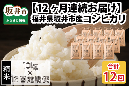 【令和7年産・新米先行予約】【12ヶ月定期便】 コシヒカリ10kg×12回 合計120kg（精米）【2025年10月より順次発送予定】【米定期便 精米定期便 回数定期便 こめ定期便 10キロ定期便 定期便】 [P-11301_03]