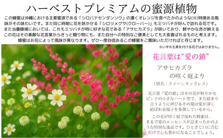 沖縄ハニー　ハーベスト プレミアム 250g　2本