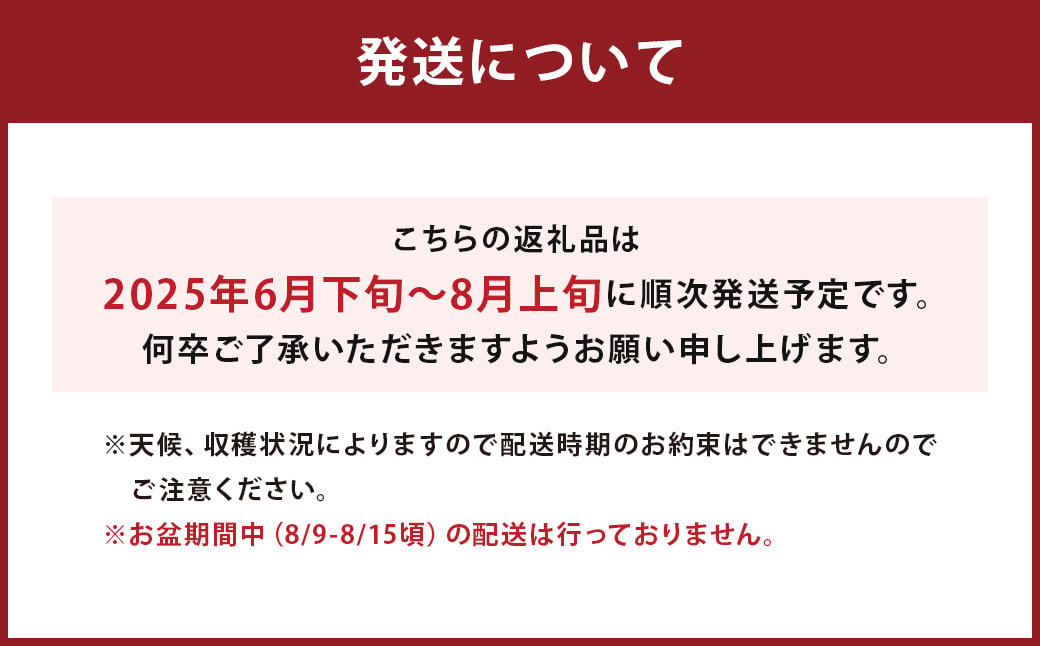 数量限定 有核 巨峰 約300g×4パック 計約1.2kg 【2025年6月下旬～8月上旬発送予定】 ぶどう ブドウ 果物 フルーツ 福岡県産