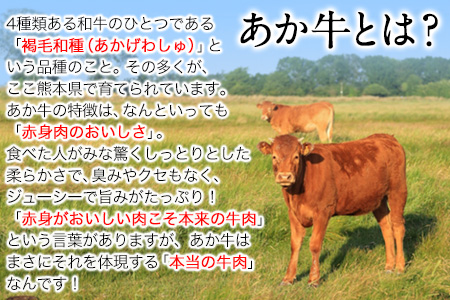 あか牛 切り落とし 500g 肉のみやべ《120日以内に出荷予定(土日祝除く)》モモ バラ カタ 熊本県産 熊本県 御船町