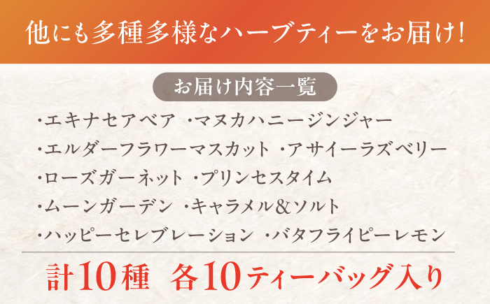 【年内発送：12/22までの寄附】おいしい ハーブティー 10種 飲み比べ セット 各10個入 瑞浪市 / 生活の木 瑞浪ファクトリー直送 お茶 カフェインレス [AZBE022]