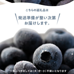 【数量限定】冷凍ブルーベリー 250g×4パック 北海道産　甘くてジューシー 余市産 ブルーベリー 250g × 4パック 合計 1kg 冷凍 北海道 余市町 国産 抗酸化作用 フルーツ 果物 お取り