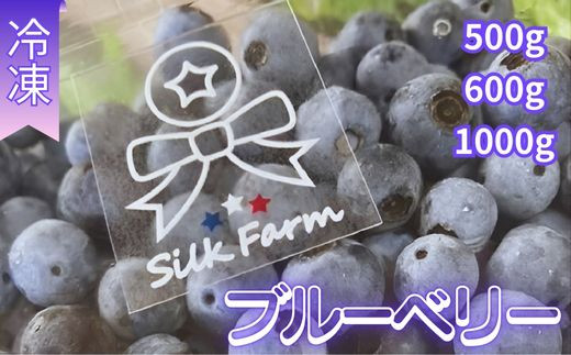 
            シルクファーム産　冷凍ブルーベリー　500～1000g
          